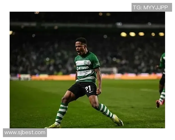 深圳网球队强势领跑城市联赛积分榜目前积分高达98分